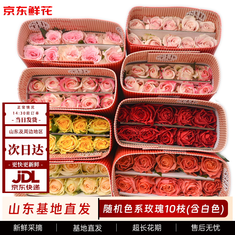 京东鲜花随机玫瑰10枝鲜切花基地直发礼品节日年宵节情人礼物花束源头直发