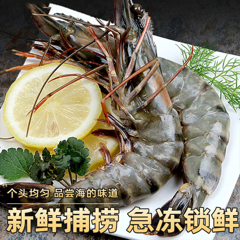 添渔港黑虎虾超大新鲜大虾老虎虾鲜活虎虾基围虾特大速冻海鲜斑竹 大号20只(1斤) 450g(净重) 2斤