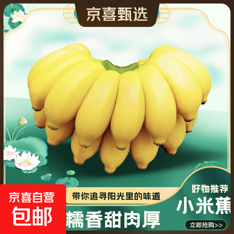 京喜加正宗小米蕉现摘当季新鲜水果酸甜可口皮薄鸡蕉小香蕉整箱批发 小米蕉带箱3斤