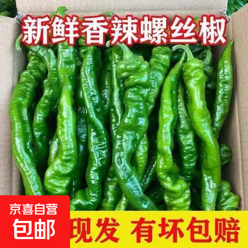 现摘现发新鲜螺丝椒特辣香辣皱皮薄皮青辣椒陇椒虎皮螺旋椒 2斤_尝鲜装净重1.8斤