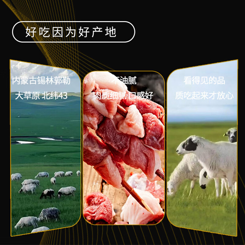 牧海肴内蒙古苏尼特团建烧烤食材半成品羊肉串腌制烧烤套餐BBQ食材串串 烧烤季【羊肉串4斤/120串】