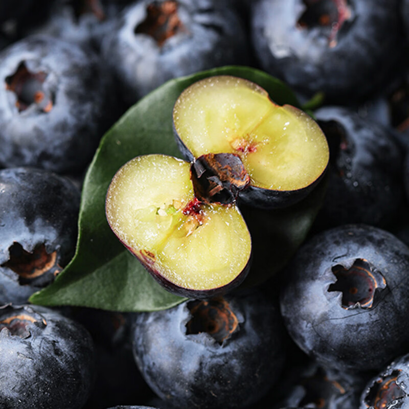 云南高山蓝莓当季鲜果礼盒孕妇水果护眼水果鲜榨果汁减肥水果 4盒  单果15-18mm 【100-125g/盒】