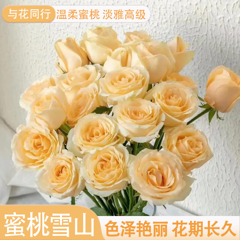 与花同行鲜花盲盒：玫瑰/郁金香/百合10枝低至10.99元