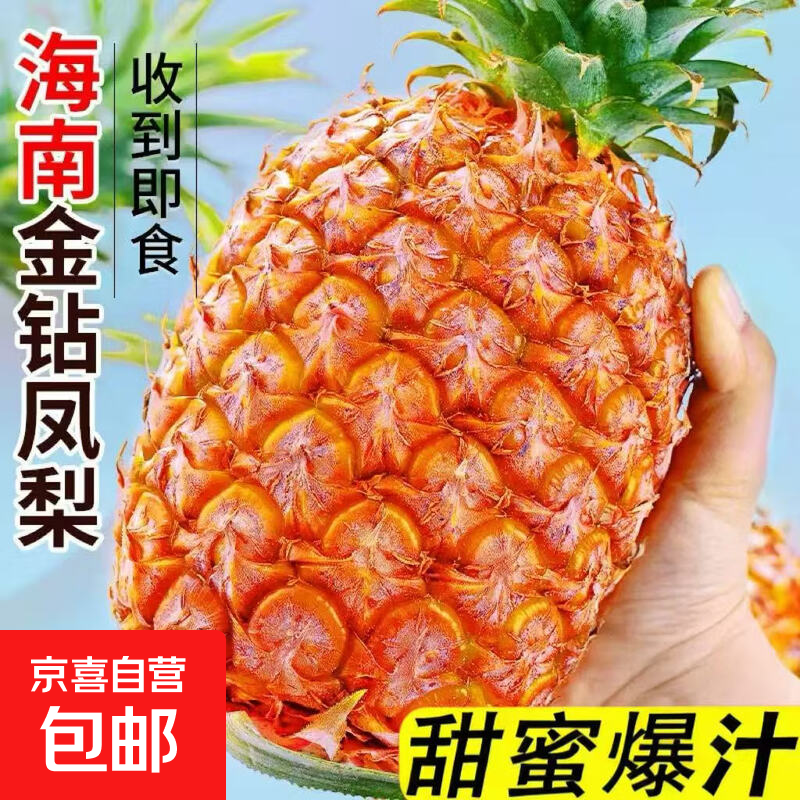 海南特产金钻凤梨当季新鲜水果脆甜多汁凤梨香甜无眼正宗新鲜 金钻凤梨1个装【小果】