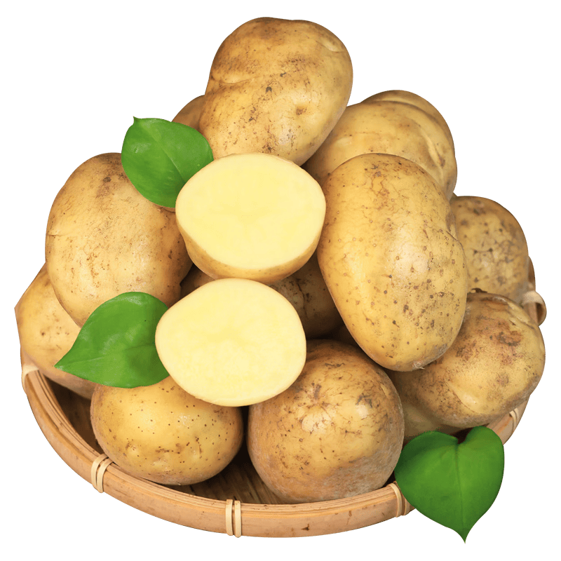 滇鲜生（DIANXIANSHENG）云南黄心土豆 当季新鲜现挖土豆农家蔬菜洋芋高山种植粉糯马铃薯 黄心土豆中果3斤 （净重）