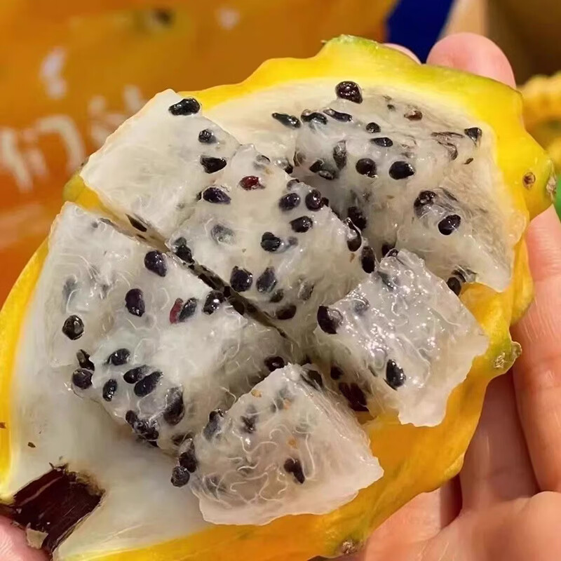 海南燕窝果 清甜爽口 果肉嫩滑 高端水果礼盒装 燕窝果5斤果王9个果礼盒装（5-6两）