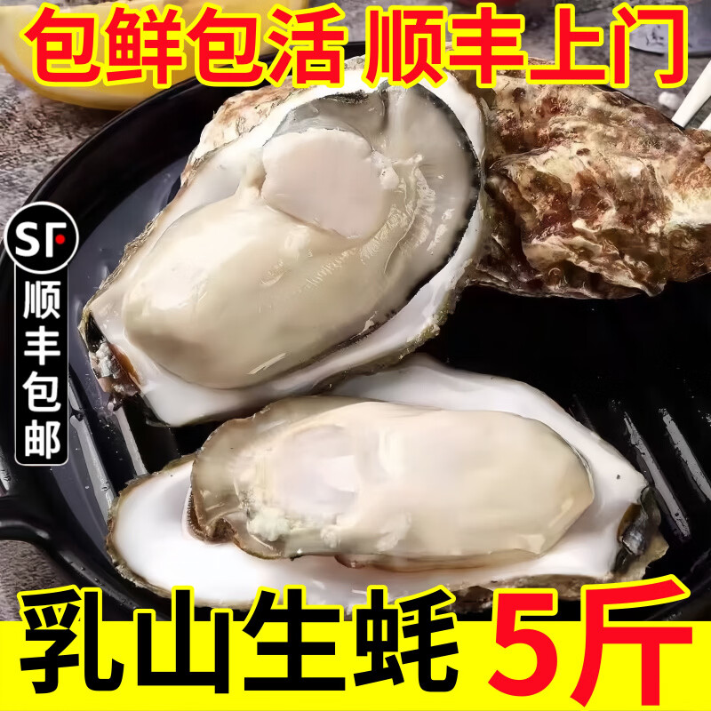 生蚝鲜活特大乳山新鲜海蛎子5斤装海鲜超大牡蛎贝类海鲜水产 大肥蚝 2两左右/只【包鲜包活】5斤装