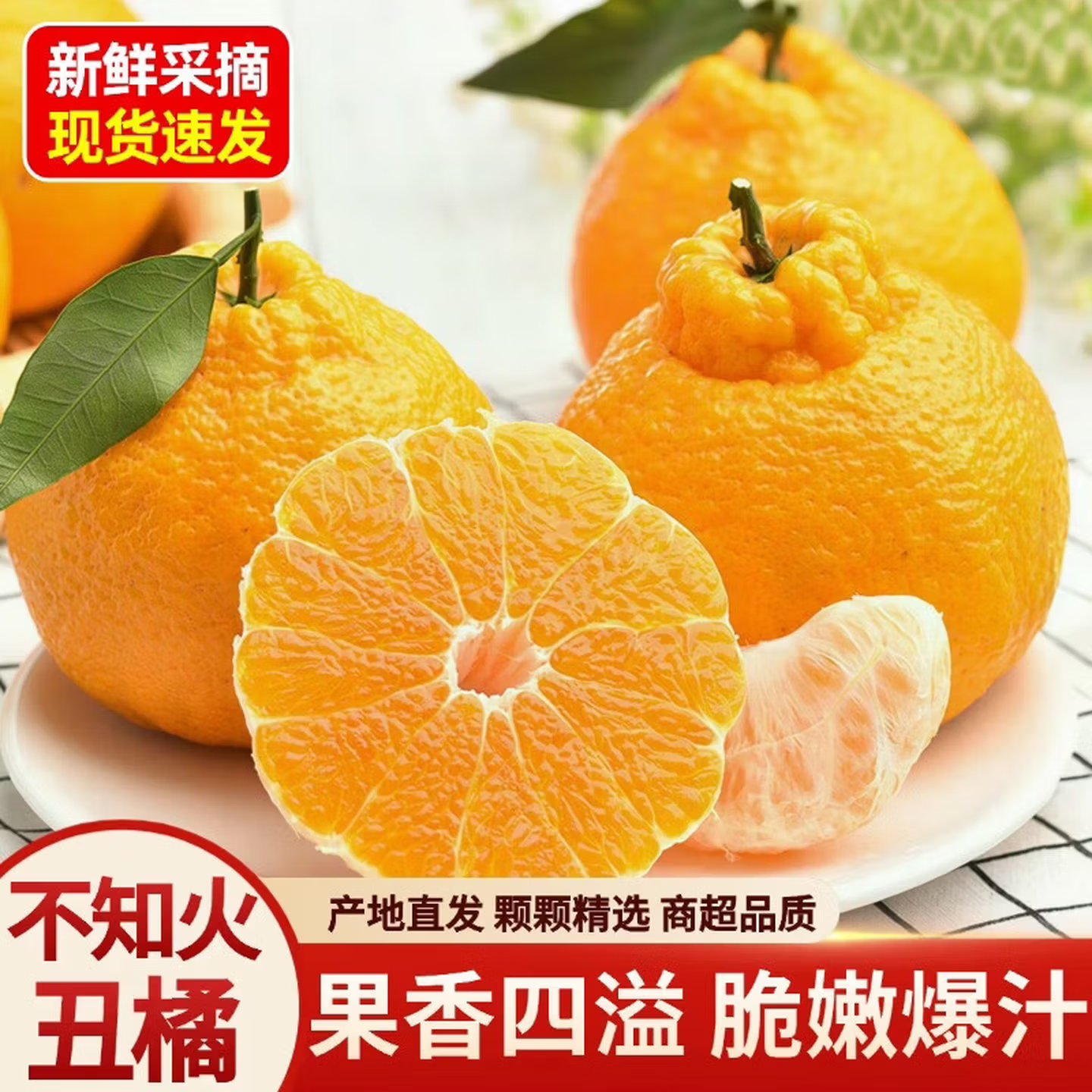 ���ڲ�����SHINE GRACE �Ĵ������ҰҸ� Ӧ������ˮ�� ���� ˮ�� ������� ����8.5-9�� ����210g+ ����8�� 27.9Ԫ