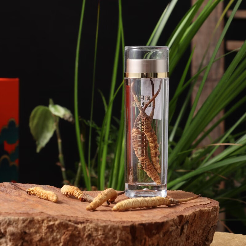 片仔癀冬虫夏草礼盒装3根/g 虫草礼盒商务礼品滋补佳品送客户 3000/10g/礼盒