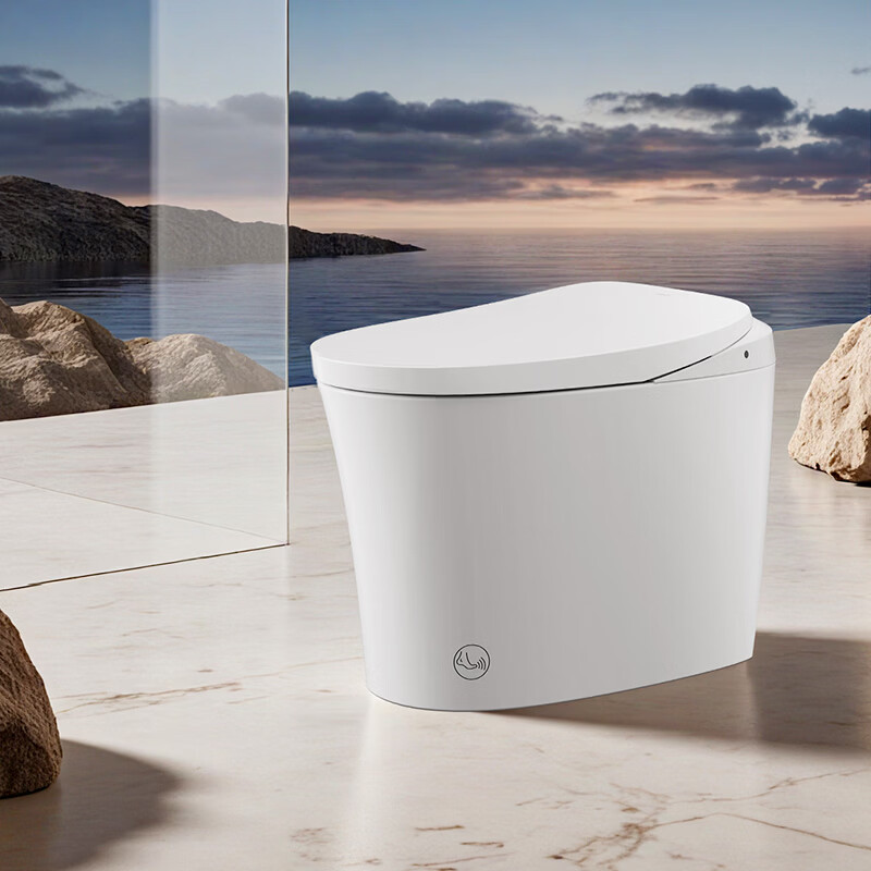 恒洁（HEGII）轻智能马桶S3泡沫盾带水箱家用坐便器免费送装 【金榜爆款】自由座S3 305坑距