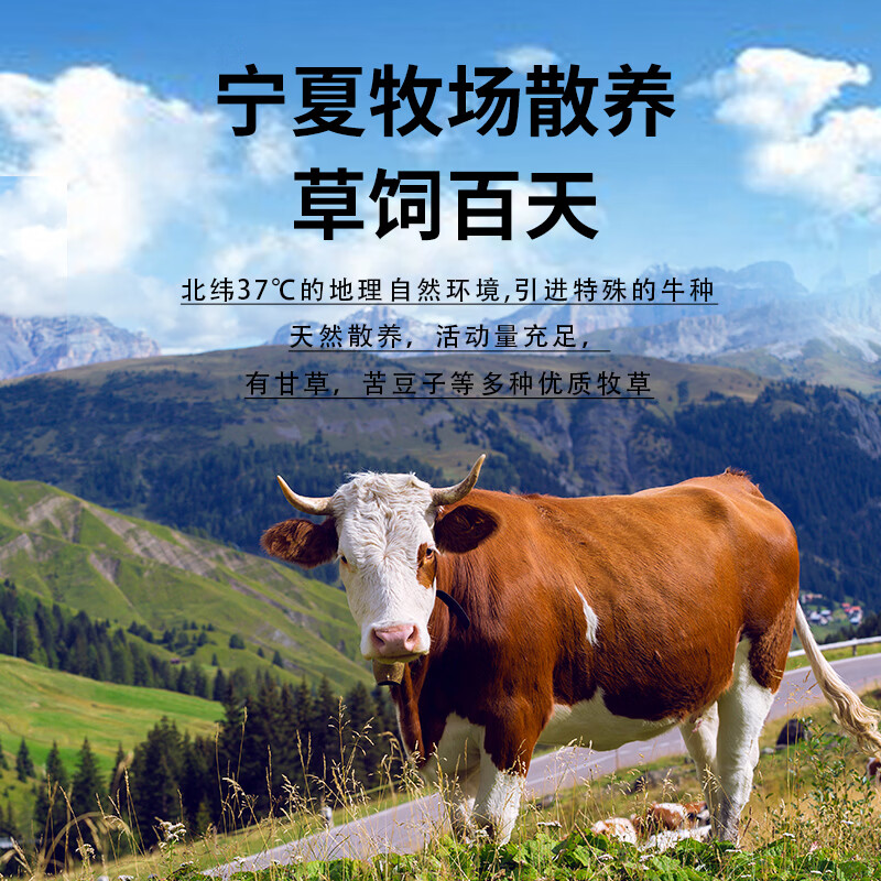 归冬 宁夏滩羊 散养羔羊肉手把肉净重5斤 新鲜手抓羊肉生鲜手把羊肉 【原切】牛肉卷250g*4袋