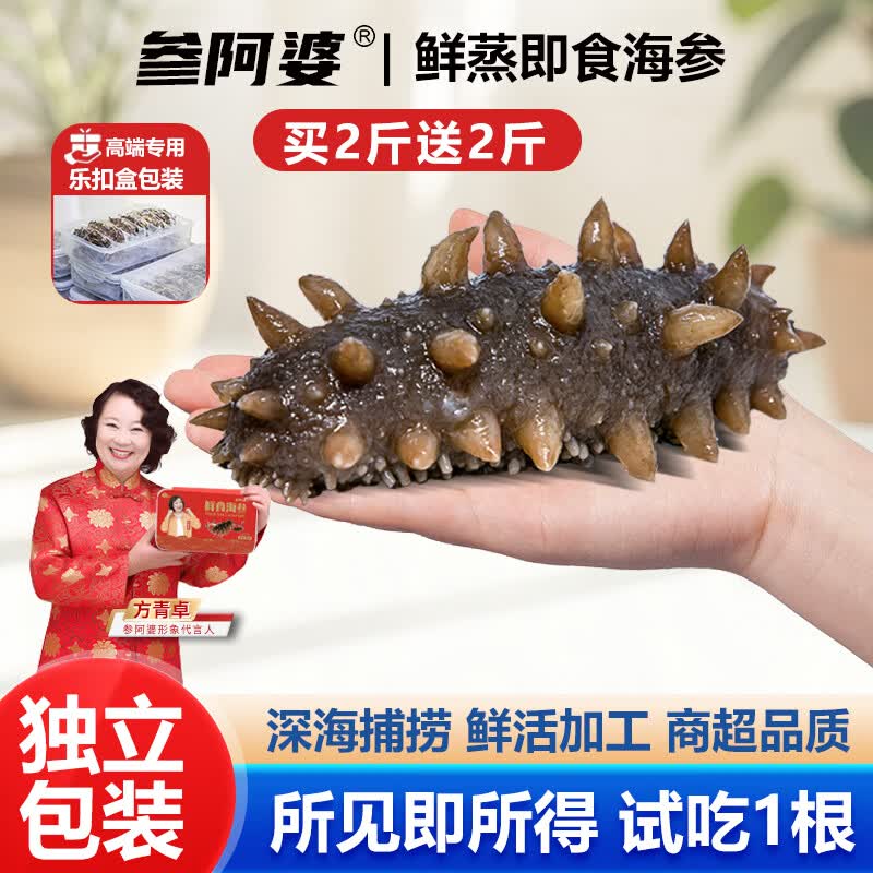 参阿婆特大号鲜蒸海参即食新鲜深海刺参冷冻生鲜非淡干干参可配礼盒 8-12头/斤(鲜蒸海参 送礼佳品) 1斤装(尝鲜)