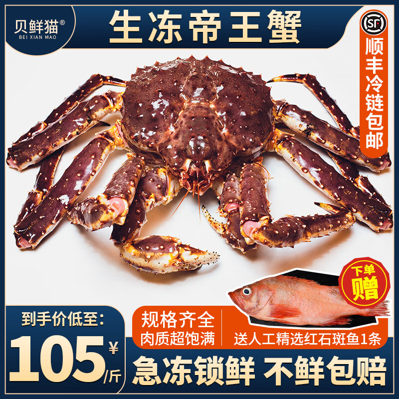 贝鲜猫 俄罗斯帝王蟹进口新鲜冷冻 特大螃蟹腿帝皇蟹 海鲜水产节日礼盒 净重5-5.5斤/只【推荐款】