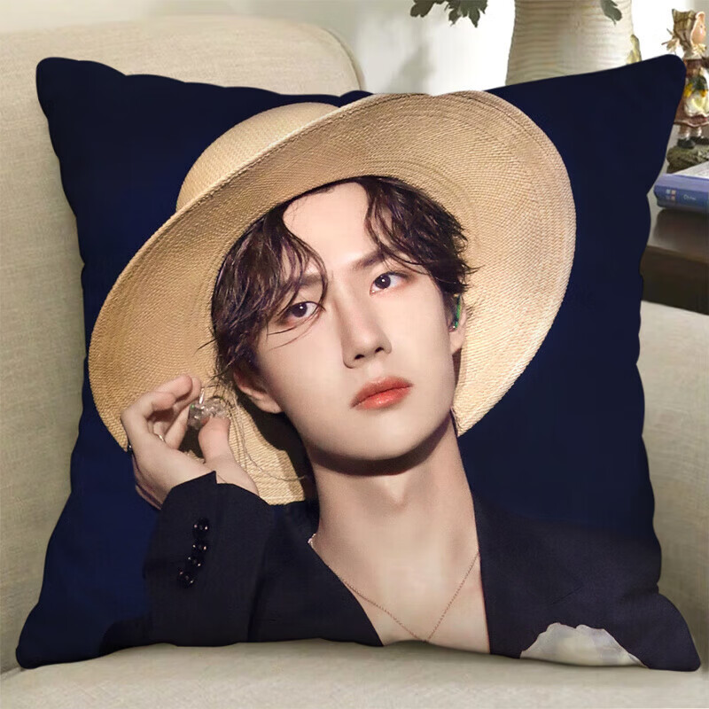 卡佰索王一博双面应援抱枕含枕芯45X45送闺蜜 【双面不含枕芯】40x40厘米 金王一博-1