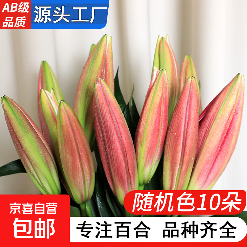 AB级香水百合花鲜花云南产地直发玫瑰康乃馨向日葵插花花束10 高品质【AB级随机色】百合花10朵+保鲜剂