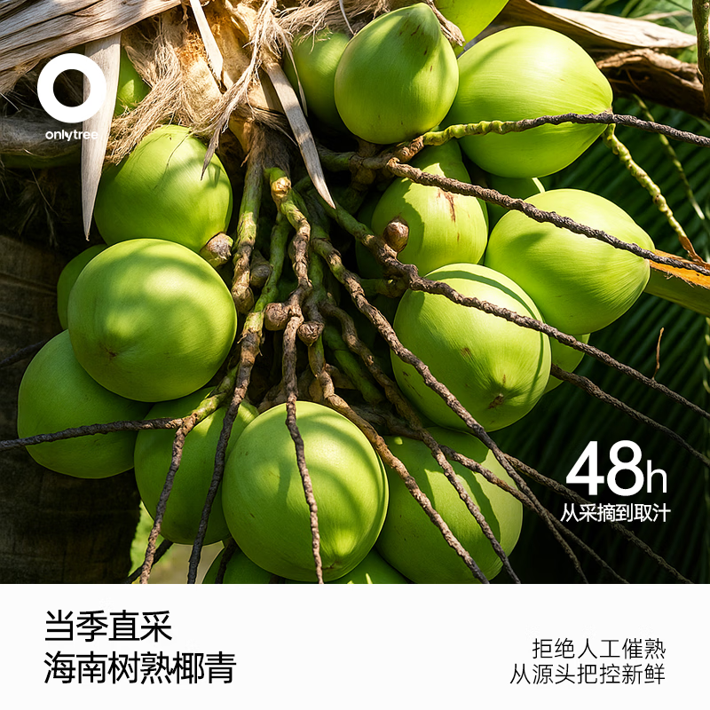 only tree100%纯椰子水椰汁椰青饮料nfc新鲜进口果汁饮料0脂肪含天然电解质 【100%进口椰子原汁】椰子水礼盒装1箱10瓶