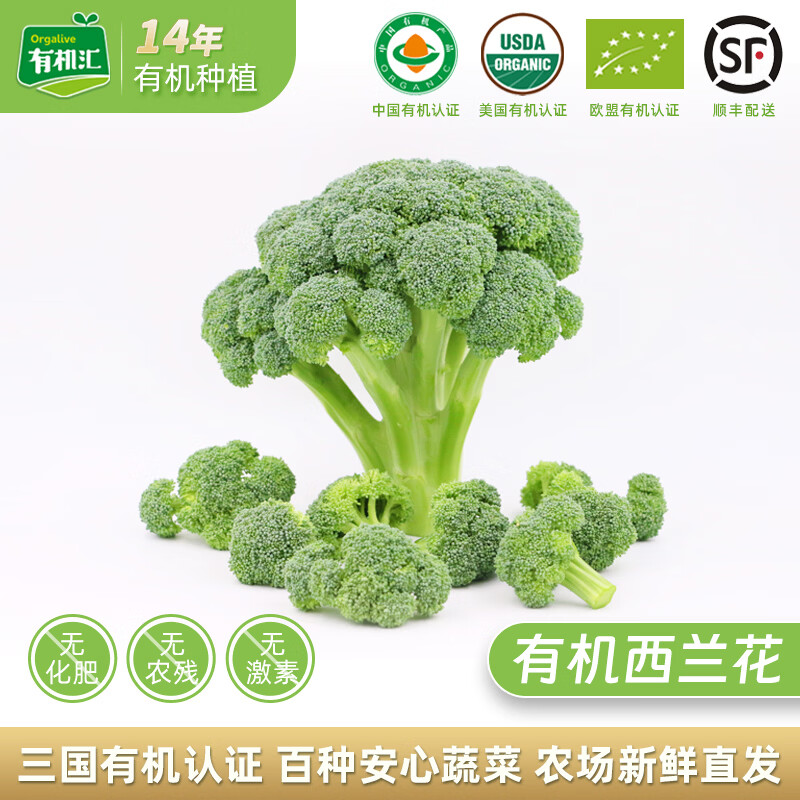 有机汇有机西兰花 花椰菜西蓝花轻食健身宝宝辅食有机蔬菜 无农残新鲜采 西兰花 500g