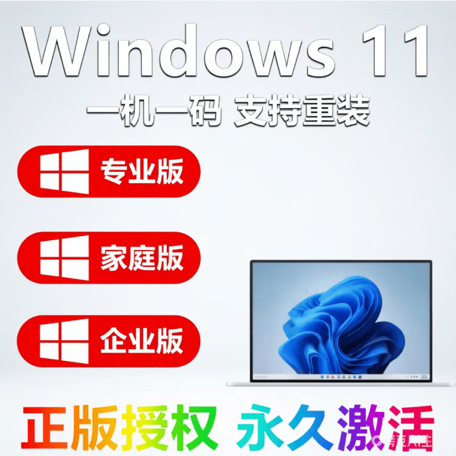 win11家庭版专业版密钥正版windows10激活码 win10/11远程安系统 远程安装系统 24小时自动发货