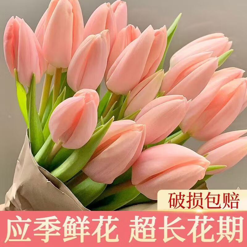 与花同行郁金香10支 13.6元 - 折送网