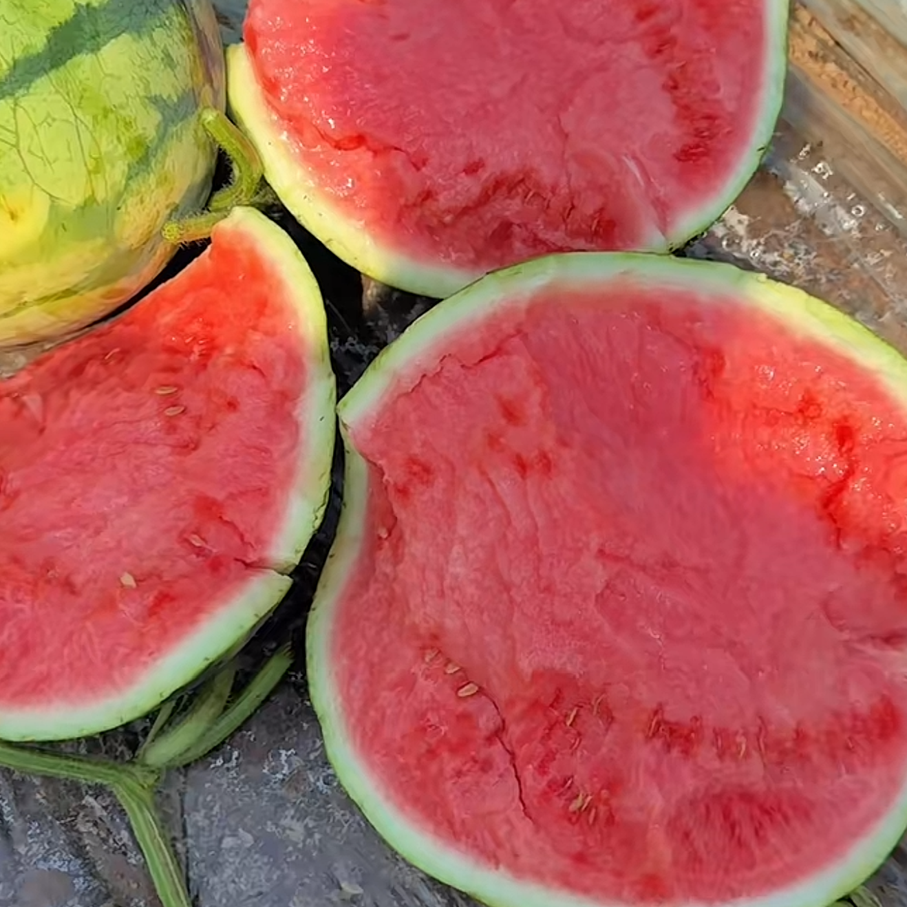 ������ժ���ڱ����������ϱ�Ƥ���� 5-10�Խ��Խ�� 5-6��������ϣ� 17.4Ԫ