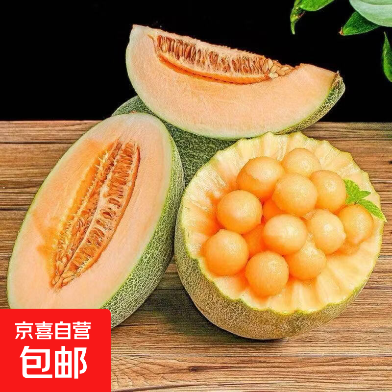 【爆甜】正宗海南哈密瓜西州蜜薄皮新鲜现摘晓蜜应季水果整箱蜜瓜 净果4-5斤装（1-2粒）