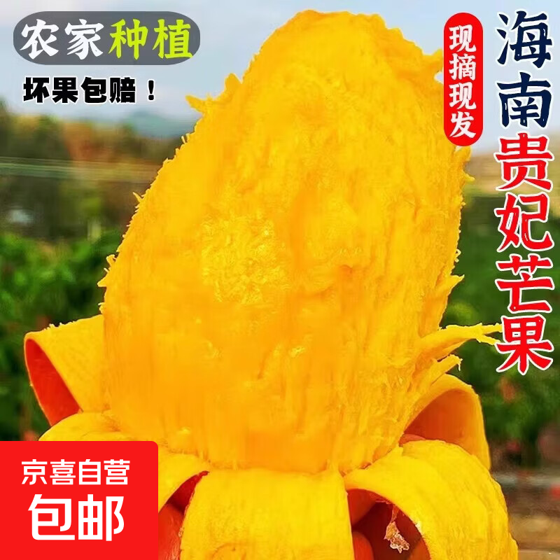 海南贵妃芒新鲜芒果应当季水果树上熟红金玉青辣椒芒现摘大果整箱 海南贵妃芒【单果100g+】 带箱2斤试吃装（净重1.6斤）
