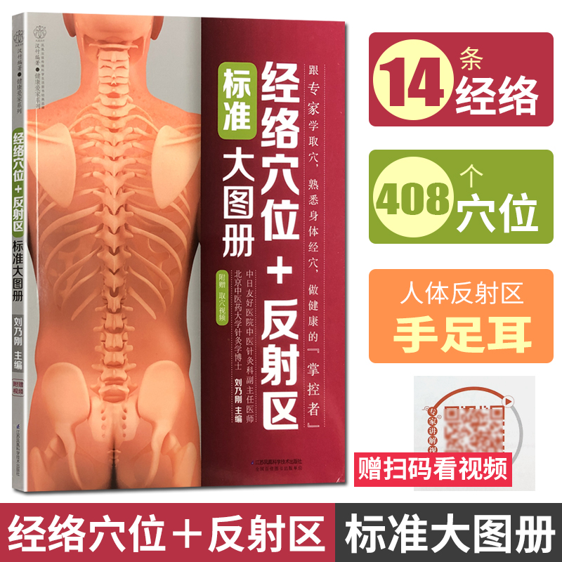 经络穴位+反射区 标准大图册 刘乃刚 跟专家学取穴熟悉身体经络穴位按摩推拿用书 江苏凤凰科学技术出版