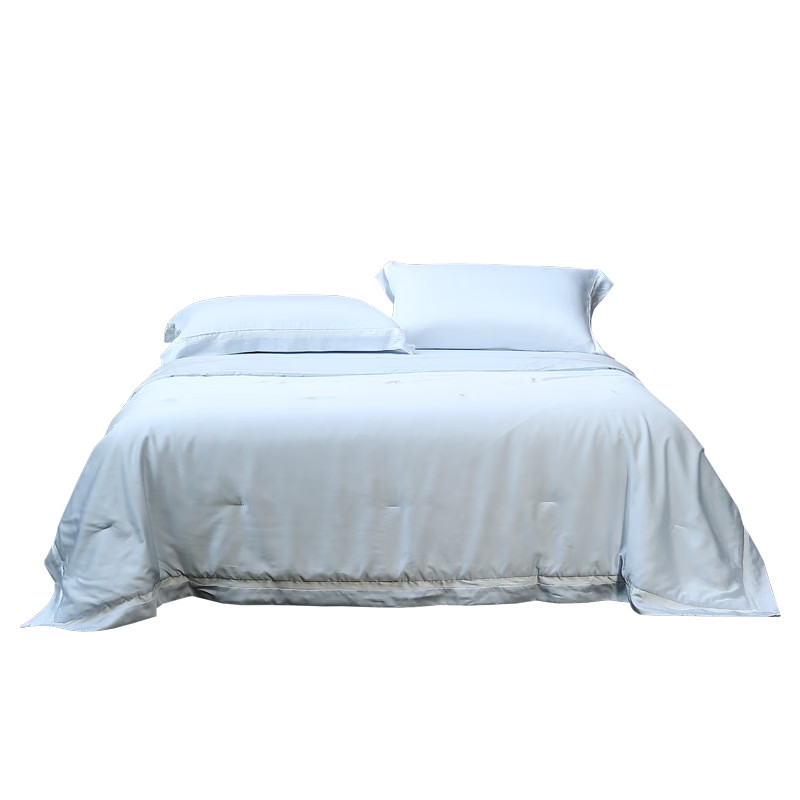 ˮ�Ǽҷ�ѩ�ⱻA���־�100%��˿���������о ˫��˫�в�˿����ˮϴ�ı��� ѩ���˿��4.0������˫��(ˮ����) 150cm*200cm 559Ԫ