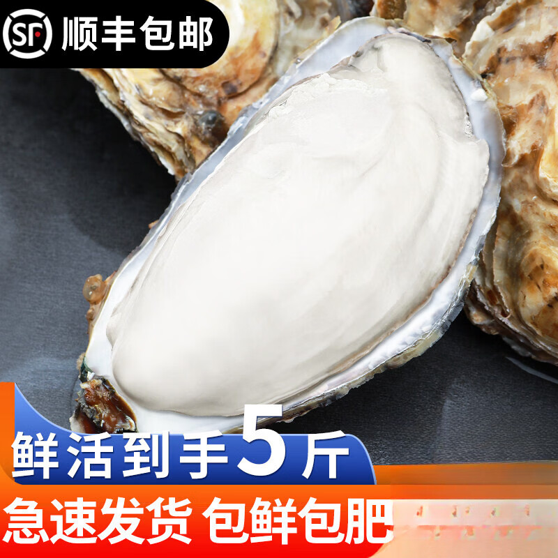 生蚝鲜活乳山5斤牡蛎新鲜海鲜水产海产海蛎子10商用整箱批发顺丰 L(70g(含)-90g(不含))