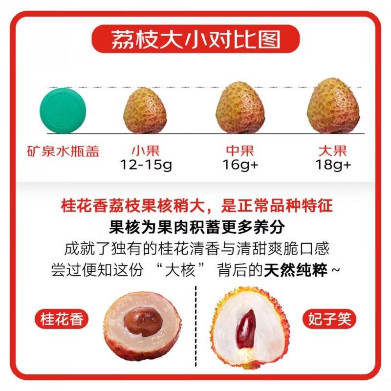 三萌果蔬 海南荔枝新鲜【JD顺丰空运-多地次日达】桂花香荔枝水果礼盒送礼 【80%人选·精选果】丨单果16g+ 3斤装【超值推荐-超划算】净2.5斤