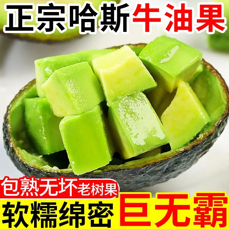 御红橙绿【超特价】秘鲁哈斯进口牛油果宝宝辅食鳄梨速发新鲜水果批发包邮 中果【单果100-130g】果子小 6个 送酱料包