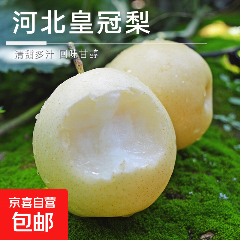 京喜加水果皇冠梨香甜酥脆多汁特产梨子生鲜 带箱5斤单果150g+净重约4.7斤