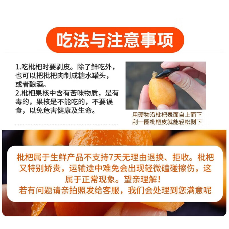 枇杷果园风光