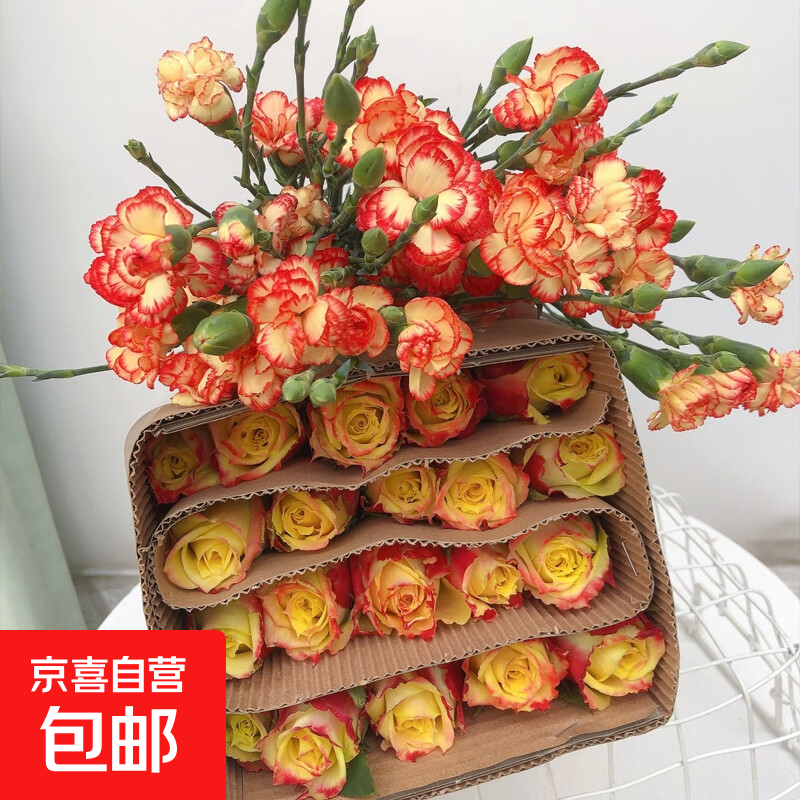 单头康乃馨10枝鲜切花云南鲜花基地直发家用母亲节花束 玫瑰10支+康乃馨10支+配草1束