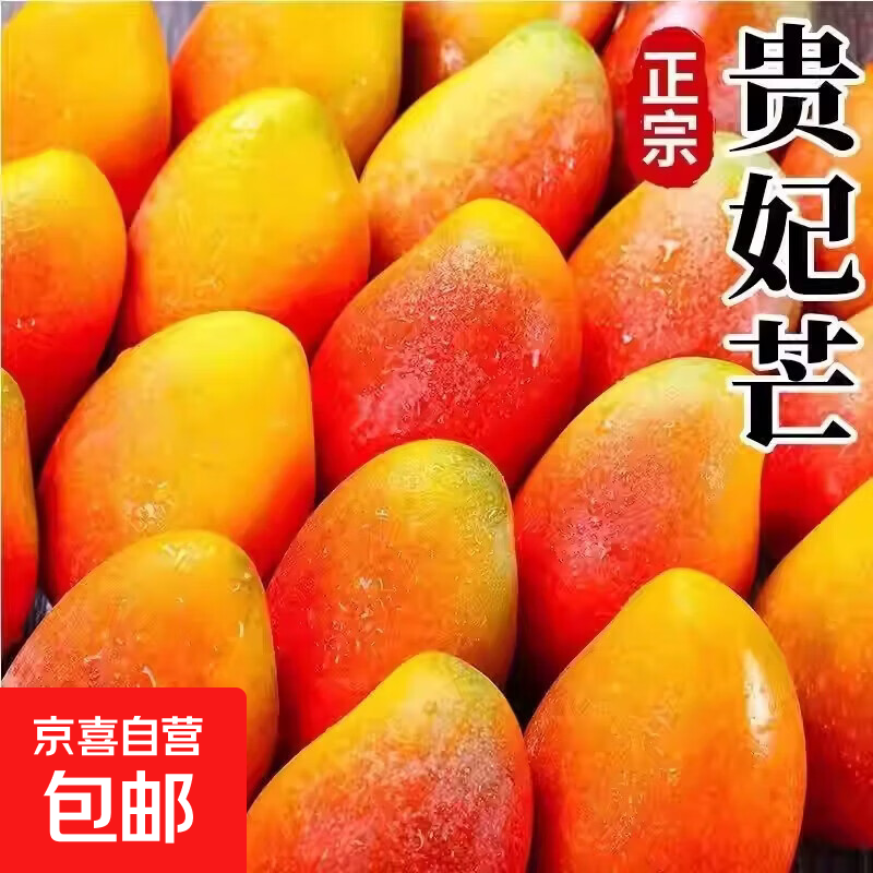 海南贵妃芒果 新鲜七彩水果甜芒果热带现摘红金龙芒果整箱水果 贵妃芒带箱5斤净重4.5斤(单果60-100g)