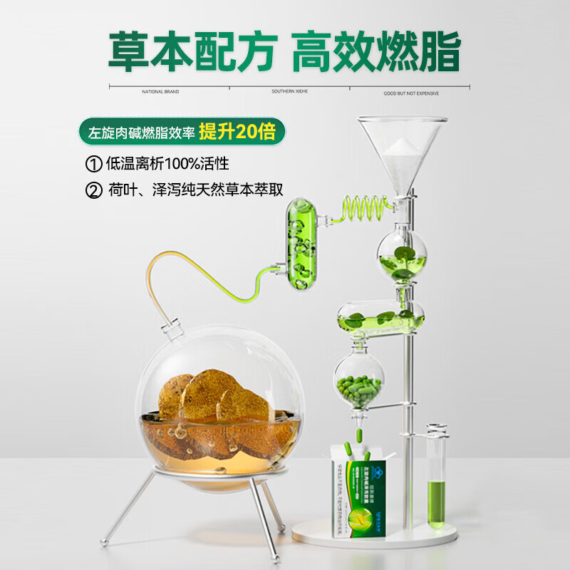 南方协和 SOUTHERN XIEHE左旋肉碱泽泻胶囊特级减肥胶囊搭减肥燃脂减脂运动 10g*3盒