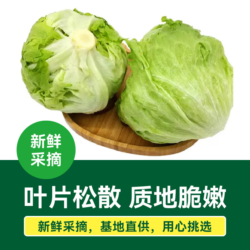 绿行者新鲜采摘球生菜脆嫩爽口结球生菜沙拉菜 2000g