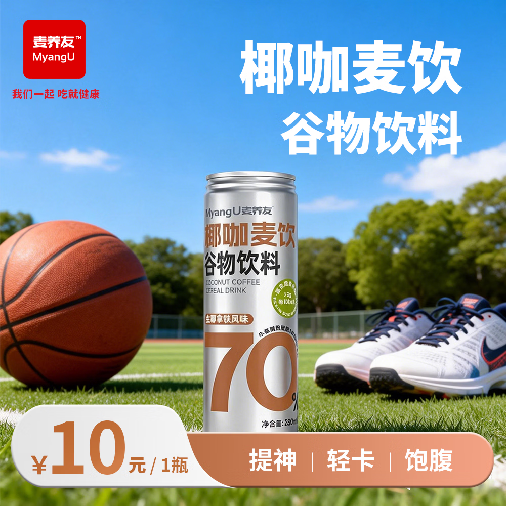 麦养友椰咖麦饮小麦糊粉层饮品整箱代餐饮料学生早餐谷物即食食品 椰咖麦饮280ml*1瓶