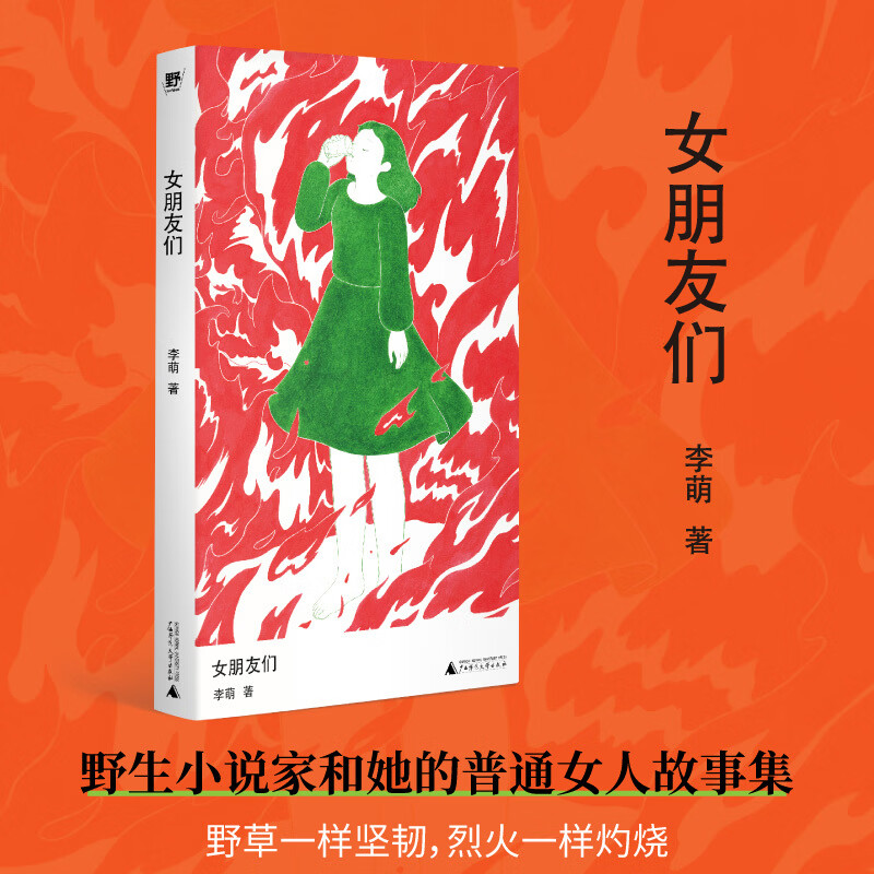 女朋友们（野生作者和她的普通女人故事集：小镇做题家、过气女艺人、北漂女青年野草一样坚韧，烈火一样灼烧