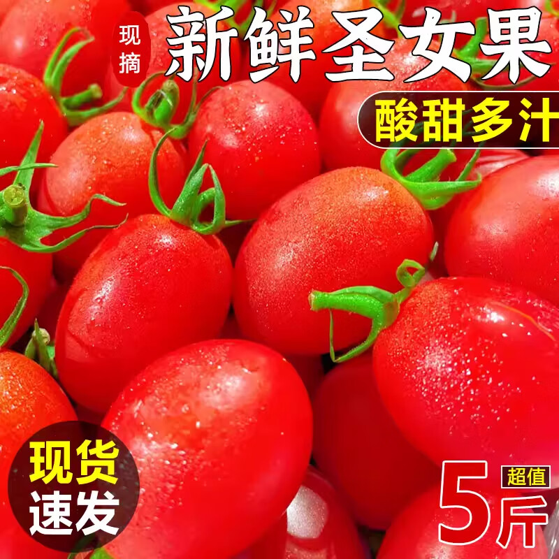 松筱水果番茄千禧圣女果新鲜时令生鲜 小番茄5斤装