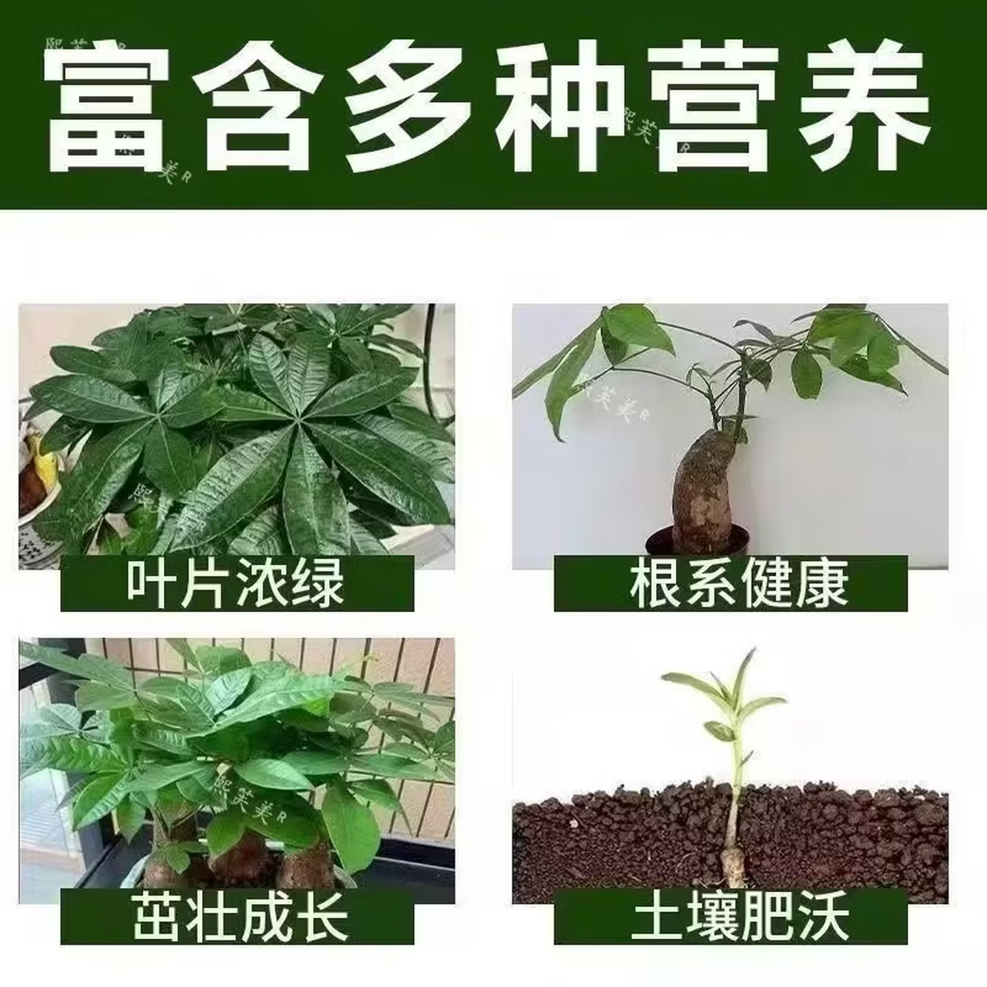 绿植花卉氮磷钾长效缓释肥颗粒通用型控释肥养肥料通用型发财树 三瓶