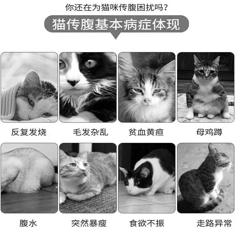 (次日达)44I猫腹传针剂油剂水剂干湿性腹水腹膜炎口服片剂 加强版 【2-3公斤口服片】12片加强版