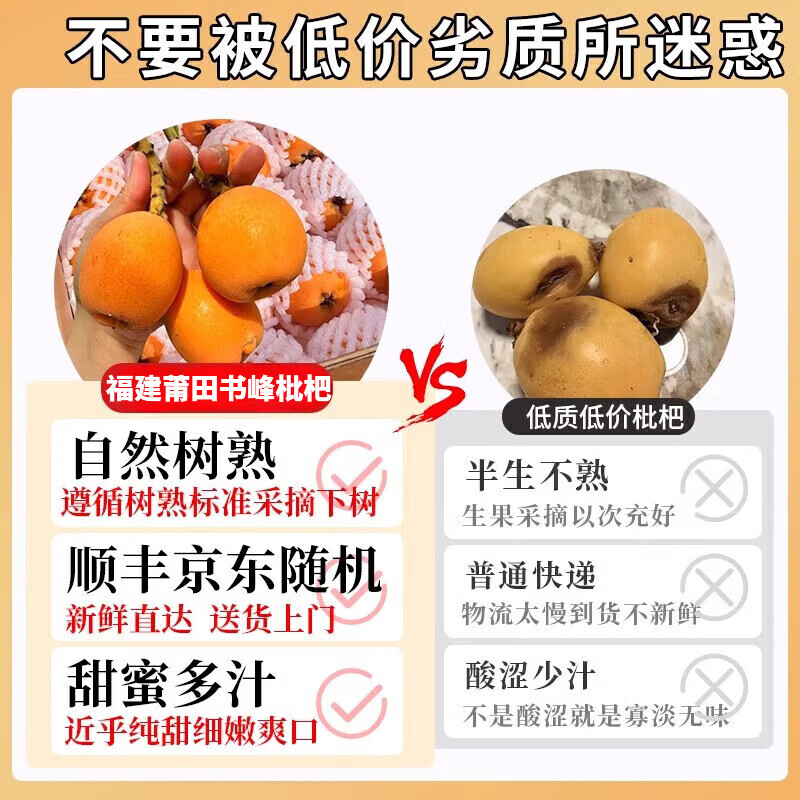 枇杷水果礼盒正宗福建莆田书峰五星大果当季新鲜纯甜高山琵琶整箱 5斤礼盒【净重4.5斤 SSS+级果王】 30年老树【京东/顺丰-多地次日达】