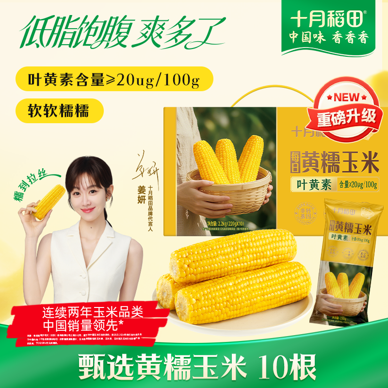 十月稻田 黄甜糯玉米 10根 4.4斤 东北甜黏玉米棒 杂粮礼盒 早餐苞米