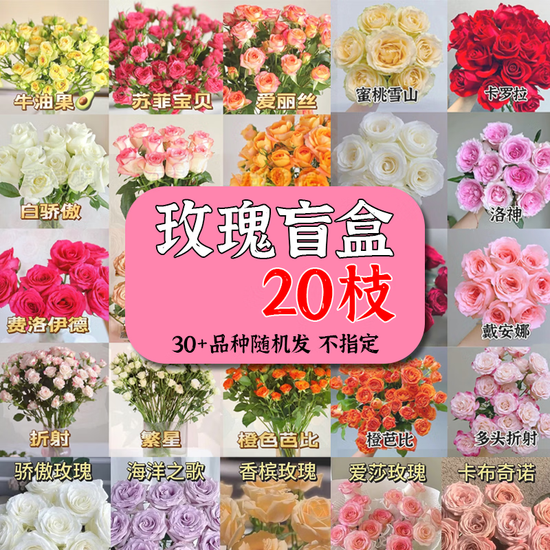 与花同行多头泡泡玫瑰鲜花斗南基地批发直发室内办公室水养送礼婚庆花束 5枝【10-15个花苞】随机多头玫瑰 基地直发 长度35-45cm