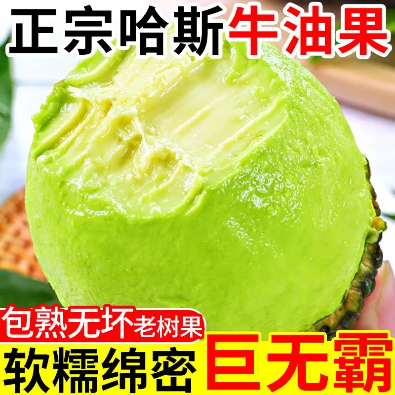 御红橙绿【正宗哈斯】秘鲁进口牛油果新鲜孕妇水果宝宝辅食鳄梨整箱包邮 大果【单果130-160g】性价比高 6个 送酱料包