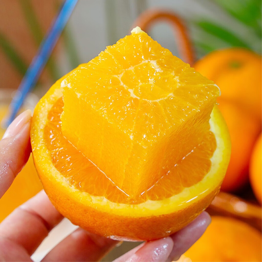 橙子很忙湖北秭归伦晚脐橙 当季鲜橙 产地现摘现发 净重5斤（果径65）