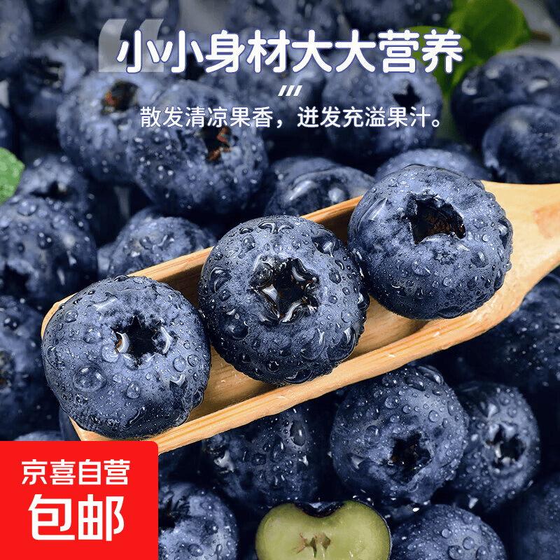 精选新鲜花香蓝莓【多地次日达JD快递】时令孕妇水果现摘整箱包邮 【8盒装】100g/盒 18mm+