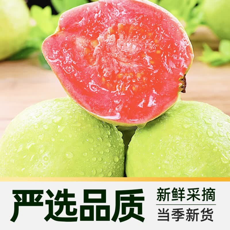 广西软糯红心芭乐新鲜水果番石榴脆甜整箱低糖香甜 3斤 中小果 | 单果120g起【SF/JD】