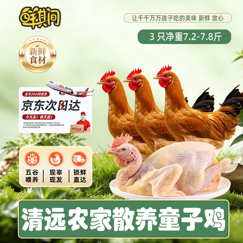 鲜其间【清远童子鸡】清远鸡走地鸡散养土鸡小公鸡整只生鲜鸡肉4.8斤 正宗清远童子鸡【3只净重7.2斤以上】 顺丰/京东包邮/广东省内可做到/当天送达